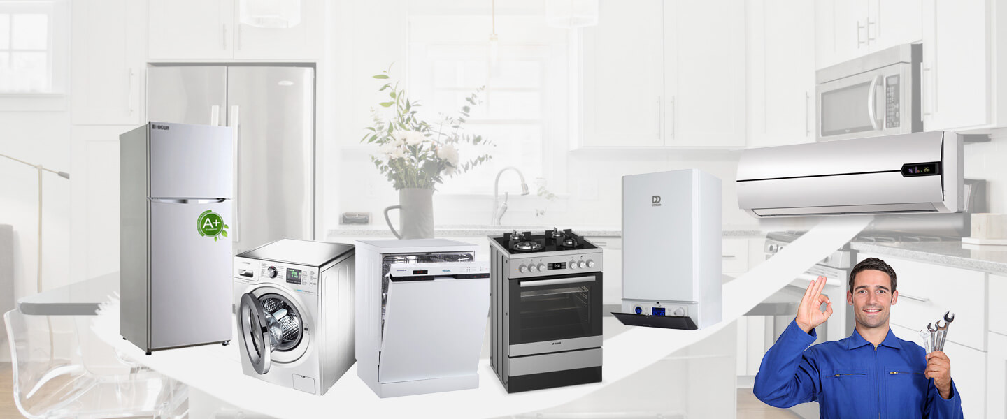Aydıntepe Gorenje Servisi